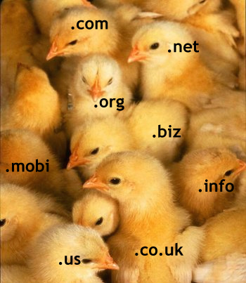 Beatiful domain chicks