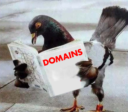 PigeonDomains launches new domain service. 