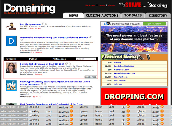 The Domaining.com gTLD ticker at the bottom, with 100 spots.