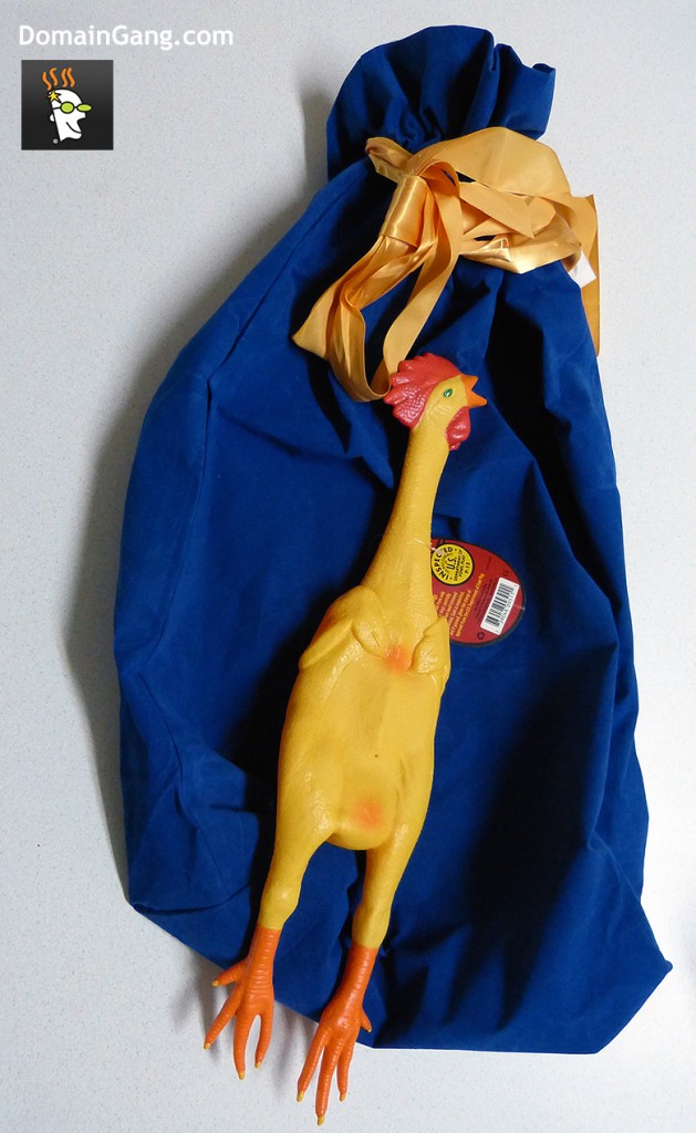 The GoDaddy chicken arrived in a gift bag in royal blue and gold.