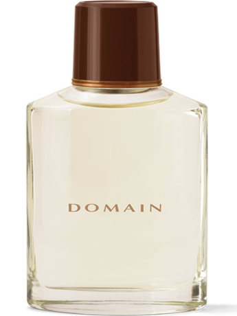 Domain - a cologne for men from Mary Kay.