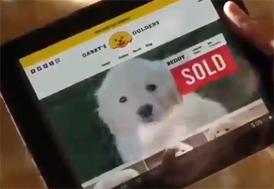 GoDaddy pulled their puppy mill commercial for the Super Bowl.