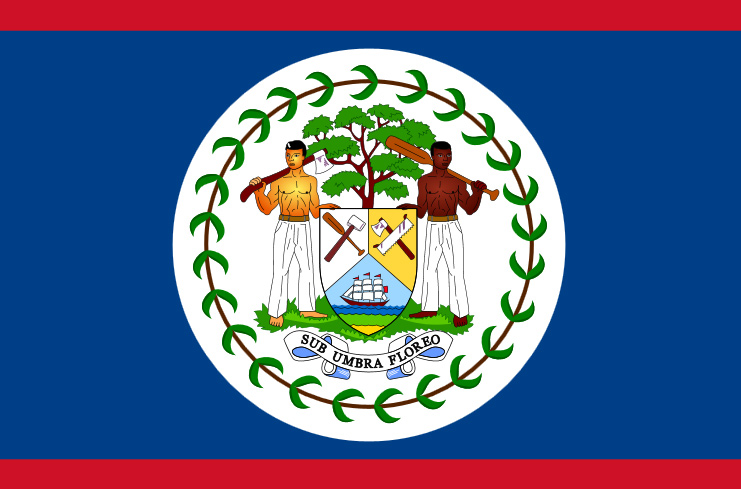 Flag of Belize in Central America. 