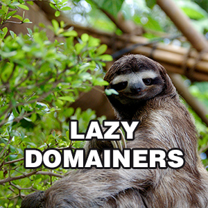 Lazy Domainers are everywhere.