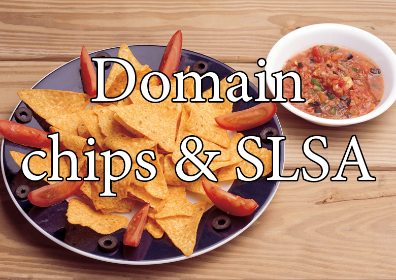 domain-chips-slsa