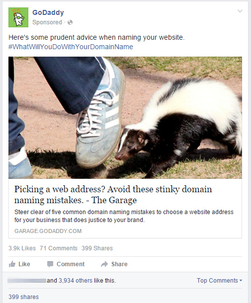 GoDaddy skunk ad about stinky domains. 