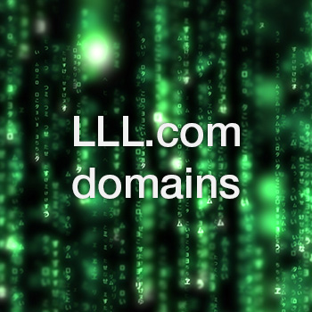 LLL .com and the Chinese domain investors.