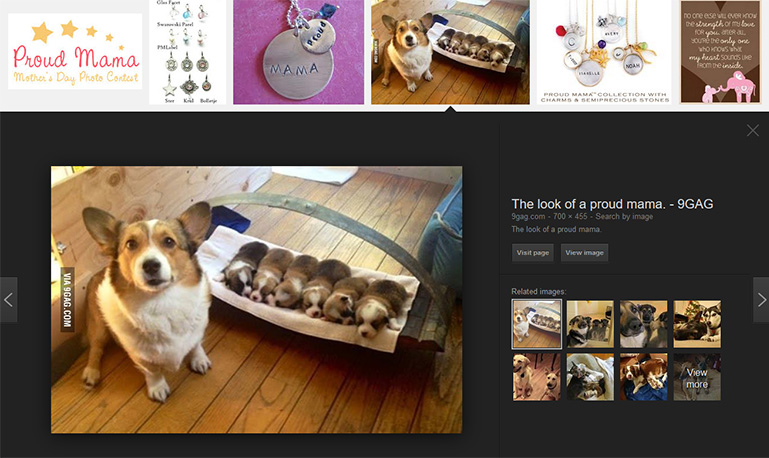 Proud Mama: A corgi bitch as one of the image results in Google.