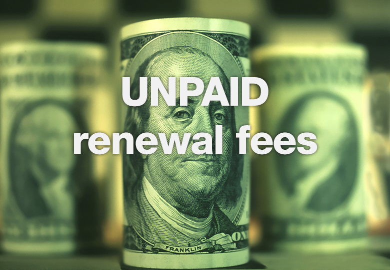 Domain renewal fees went unpaid for 8 years.