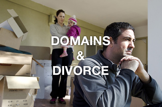 domains-and-divorce