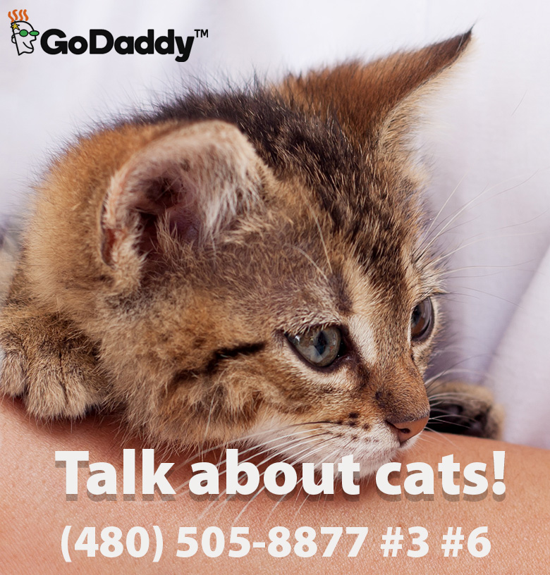 godaddy-cats