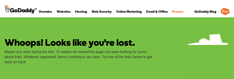 GoDaddy WHOIS : Are we lost?