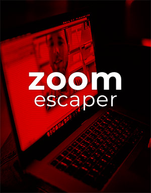 zoom offline installer for windows
